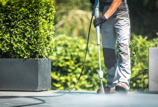 Best Sidewalk and Walkway Cleaning  in Castle Point, MO